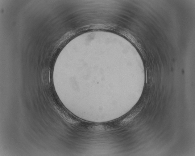 X0000062890253200602101748