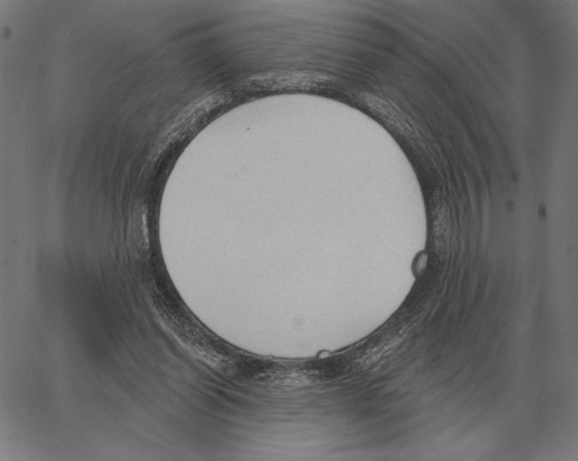 X0000062890254200602101748