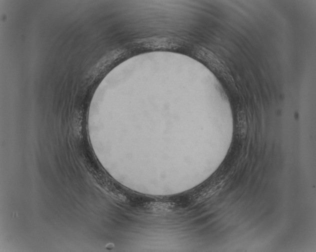 X0000062890255200602101748