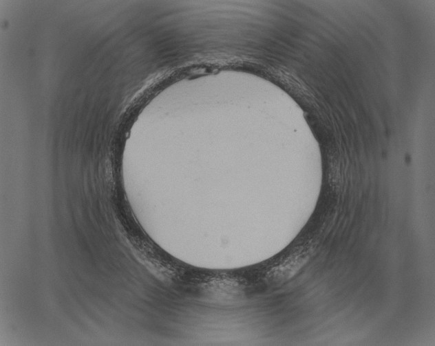 X0000062890256200602101748