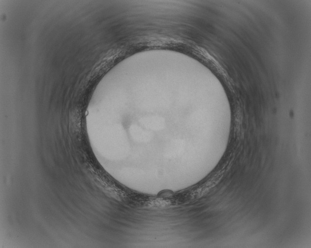 X0000062890257200602101748