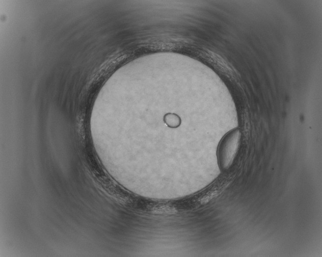 X0000062890258200602101748