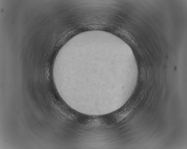 X0000062890259200602101748