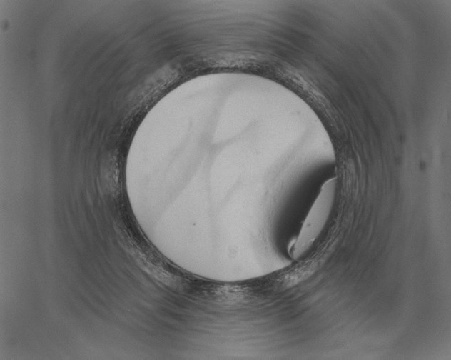 X0000062890261200602101748