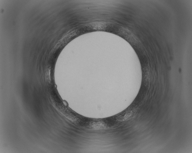 X0000062890262200602101748