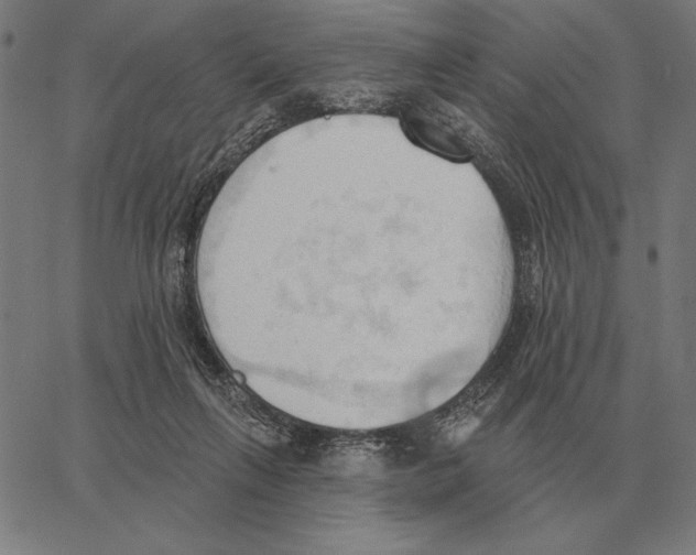 X0000062890263200602101748