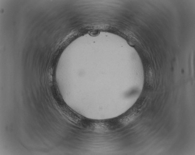 X0000062890264200602101748