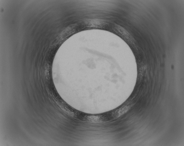 X0000062890265200602101748