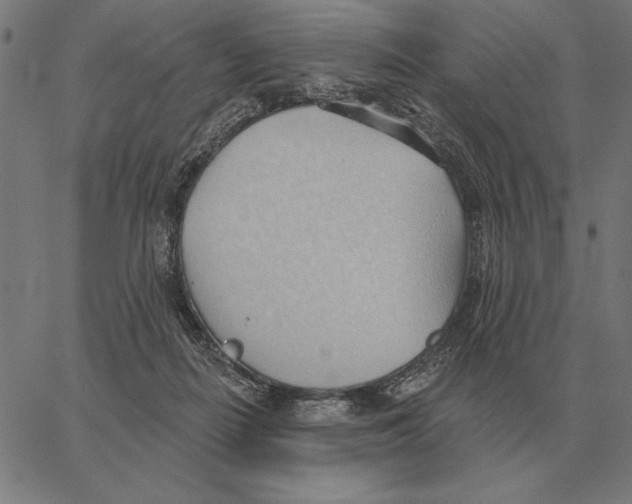 X0000062890266200602101748