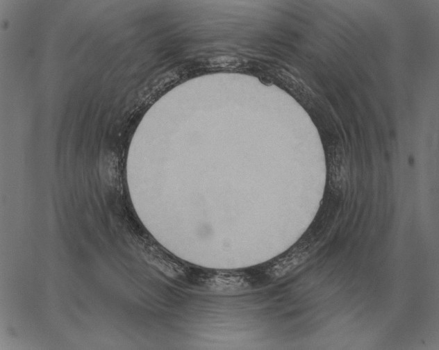 X0000062890270200602101749