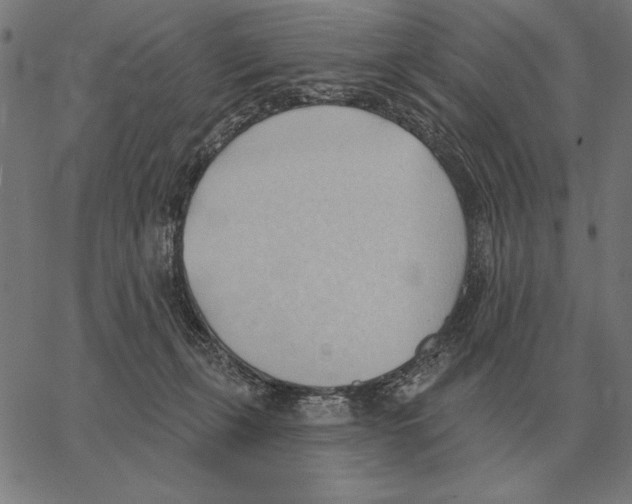 X0000062890271200602101749