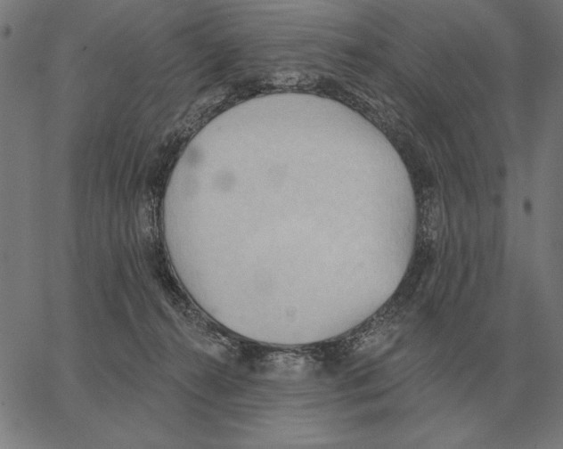 X0000062890272200602101749