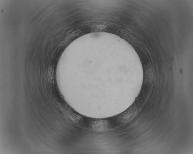 X0000062890274200602101749