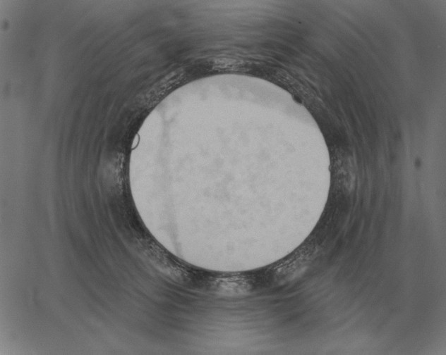 X0000062890275200602101749