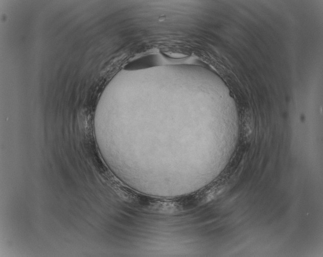 X0000062890276200602101749