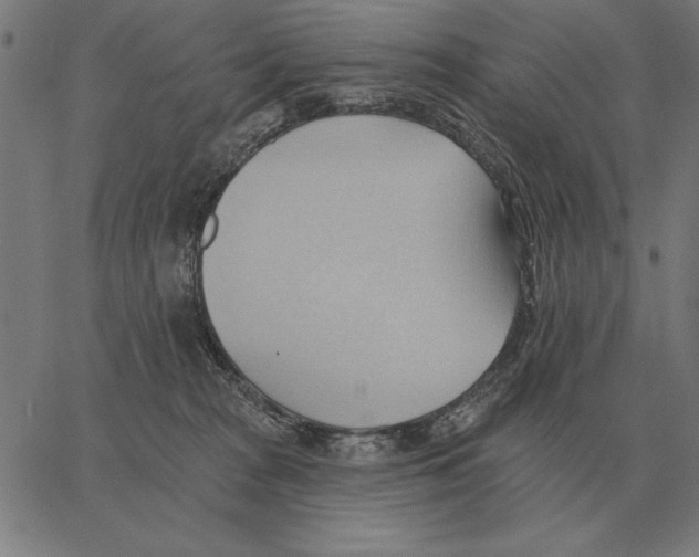 X0000062890277200602101749