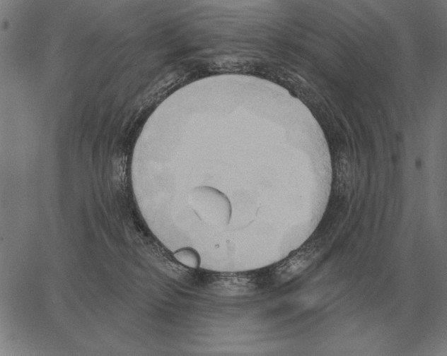 X0000062890278200602101749