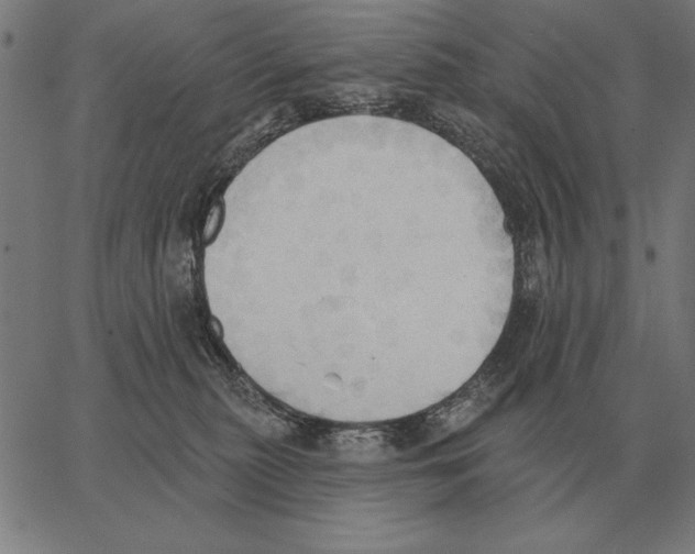 X0000062890279200602101749