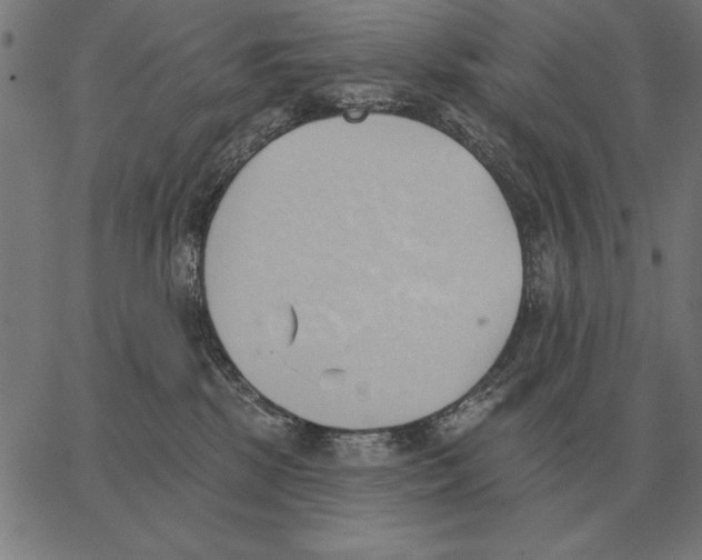 X0000062890281200602101749