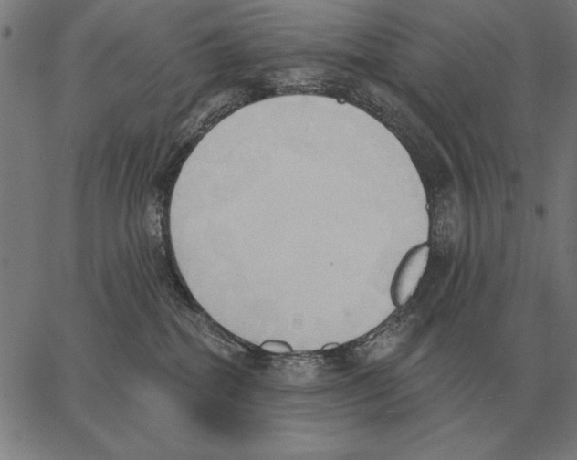 X0000062890282200602101749