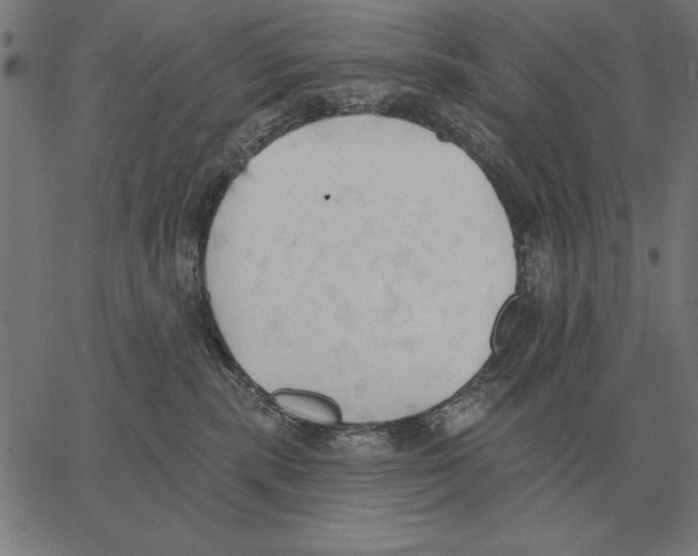 X0000062890283200602101749