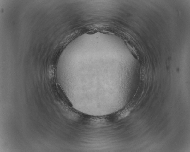 X0000062890284200602101749