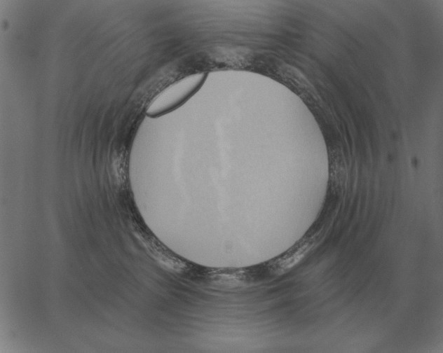 X0000062890285200602101749