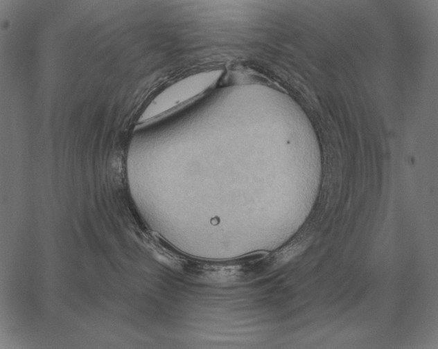 X0000062890288200602101749