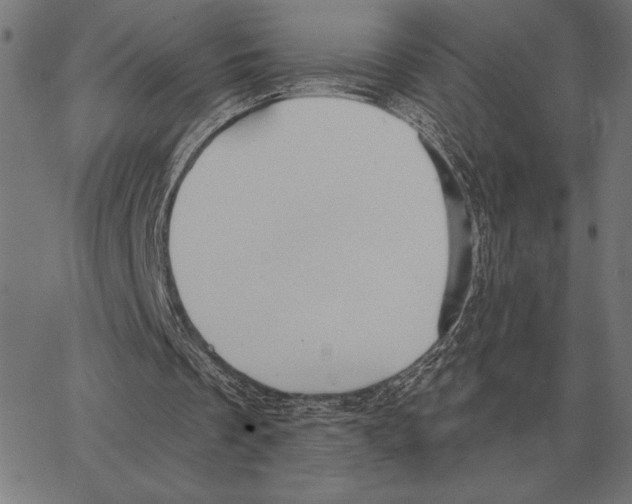 X0000062890289200602101748