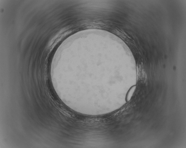 X0000062890291200602101748