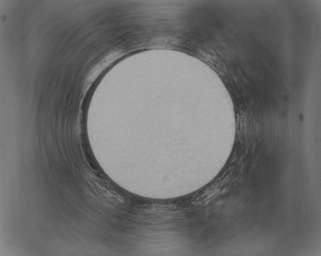 X0000062890292200602101748