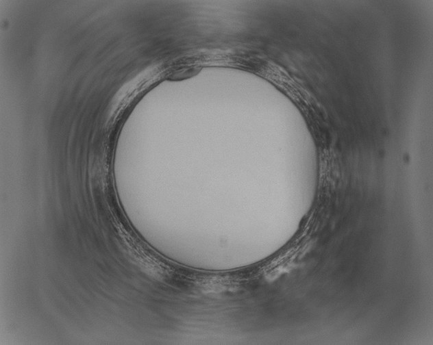 X0000062890293200602101748