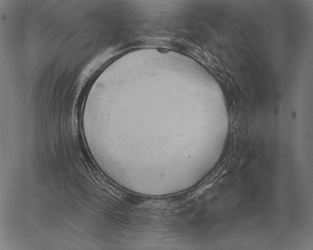 X0000062890294200602101748