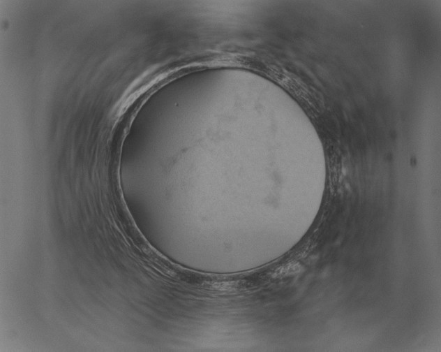 X0000062890295200602101748