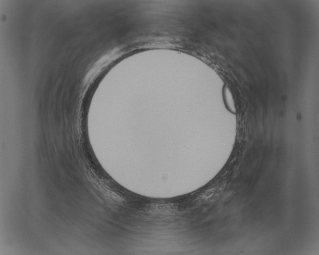 X0000062890296200602101748