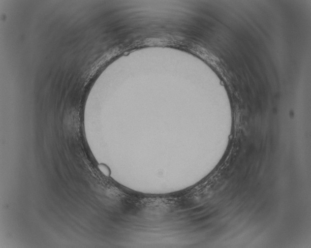 X0000062890297200602101748