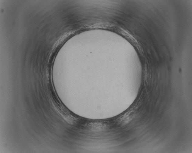 X0000062890298200602101748