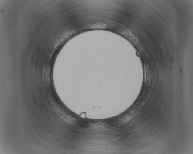 X0000062890300200602101748