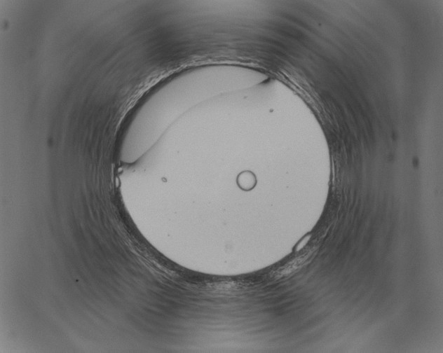 X0000062890301200602101748