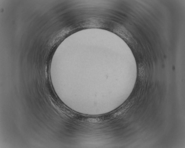 X0000062890302200602101748