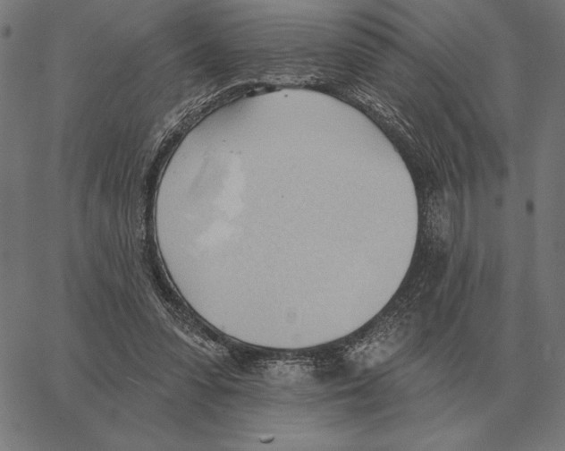 X0000062890303200602101748