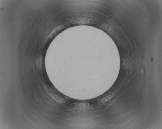 X0000062890304200602101748