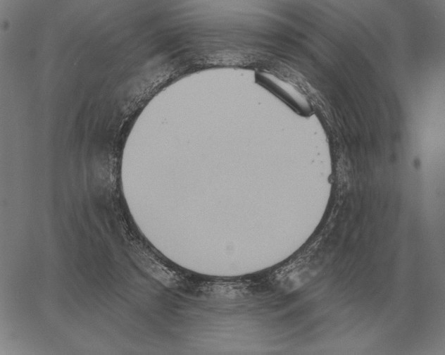 X0000062890305200602101748