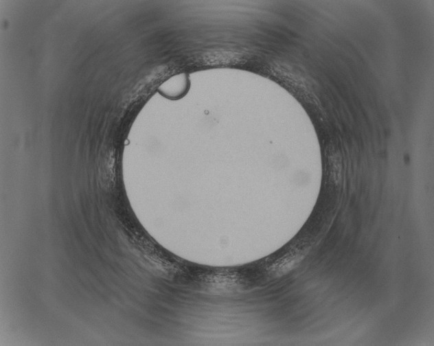 X0000062890308200602101748