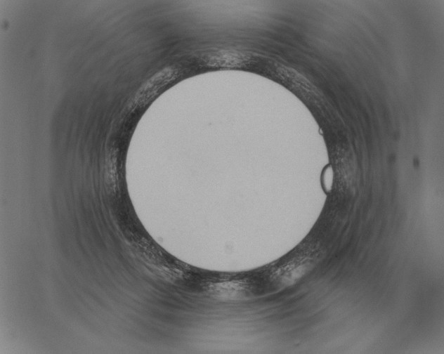 X0000062890312200602101748