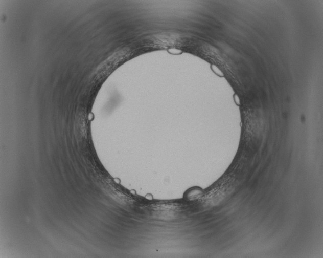 X0000062890313200602101748