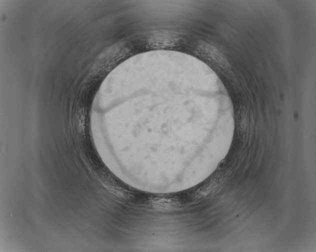 X0000062890315200602101748