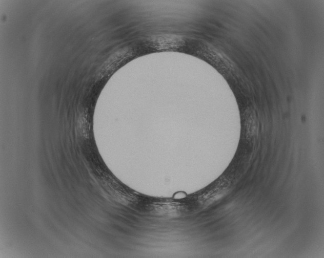 X0000062890316200602101748