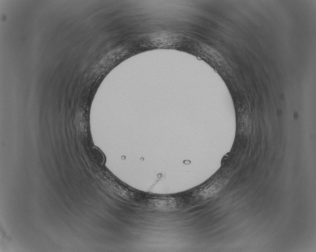 X0000062890317200602101748