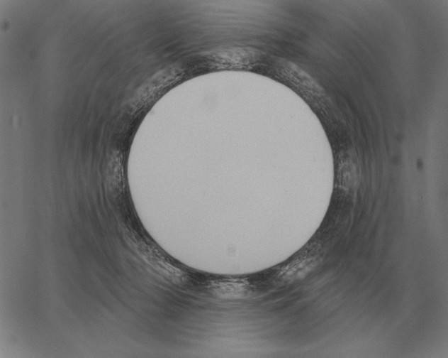 X0000062890318200602101748